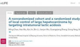 大众集团爆料新闻视频,最新爆料新闻视频深度解析
